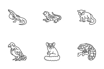 Exotic Pets Icon Pack