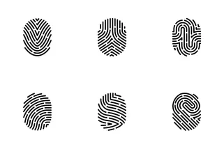Fingerprint Security Access Authorization