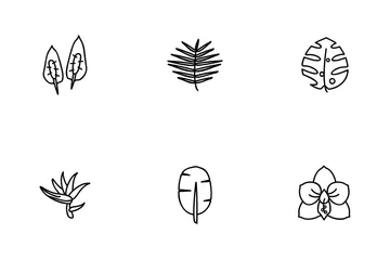 Free Tropical Plants Icon Pack