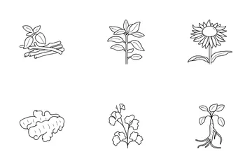 Heilkräuter Icon Pack