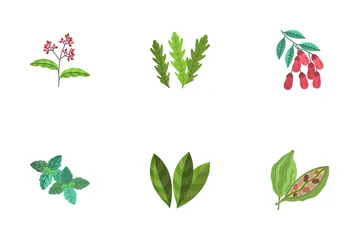 Herbal And Spices Icon Pack