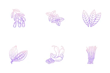 Herbal And Spices Icon Pack