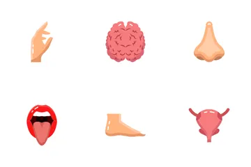 Human Anatomy Icon Pack
