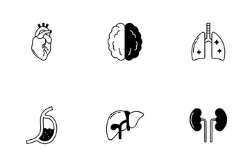 Human Anatomy Icon Pack