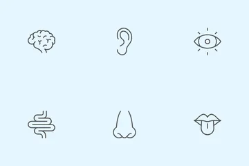 Human Anatomy And Body Health Icon Pack