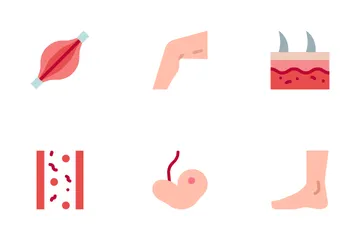 Human Anatomy Icon Pack