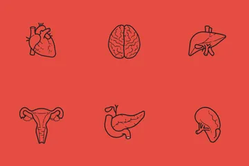 Human Anatomy Icon Pack