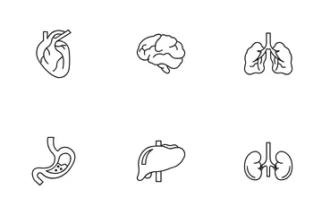 Human Anatomy Icon Pack
