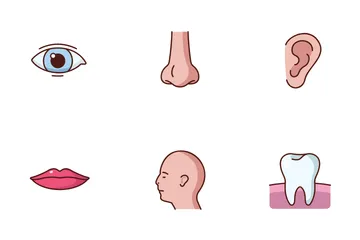 Human Anatomy Icon Pack