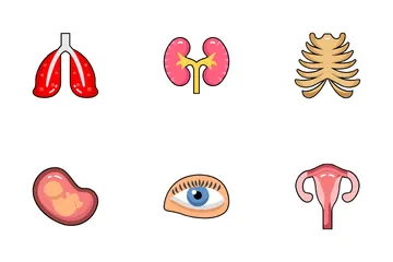 Human Anatomy Icon Pack