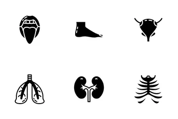 Human Anatomy Icon Pack