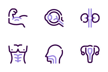 Human Anatomy Icon Pack