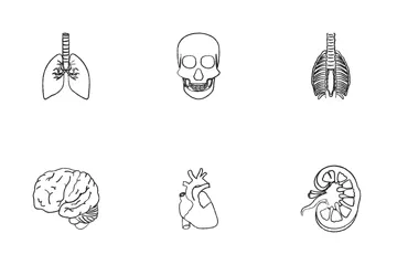 Human Anatomy Line Icon Pack