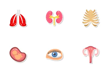 Human Anatomy Icon Pack