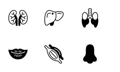 Human Body Icon Pack