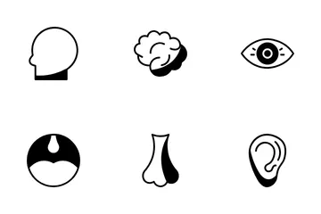 Human Body Icon Pack