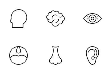 Human Body Icon Pack