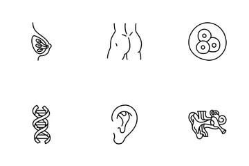 Human Body Icon Pack