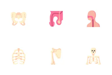 Human Body Icon Pack