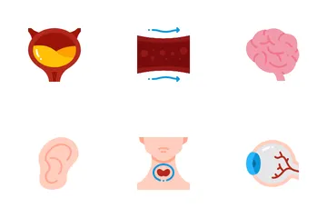 Human Body Icon Pack