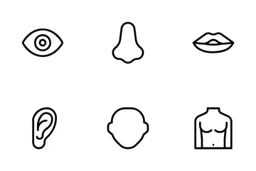 Human Body Icon Pack