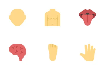 Human Body Icon Pack