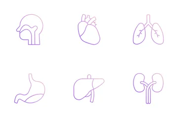 Human Body Icon Pack