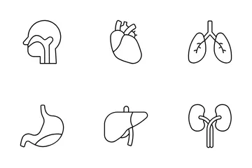 Human Body Icon Pack