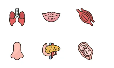 Human Body Icon Pack