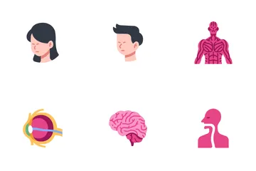 Human Body Icon Pack