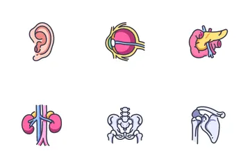 Human Body Icon Pack