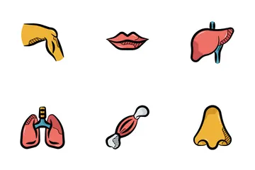 Human Body Icon Pack