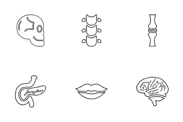 Human Body Organ Icon Pack