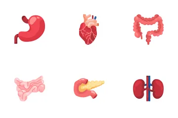 Human Body Part Icon Pack