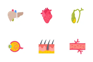 Human Body Parts And Organs Icon Pack