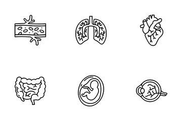 Human Body Parts And Organs Icon Pack