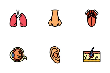 Human Organ Icon Pack