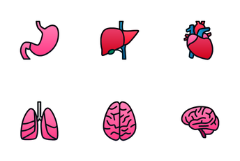 Human Organ Icon Pack