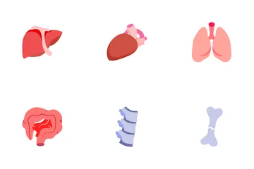 인간 장기 아이콘 팩