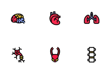 Human Organ Icon Pack