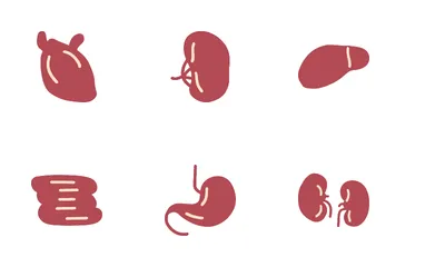 Human Organ Icon Pack