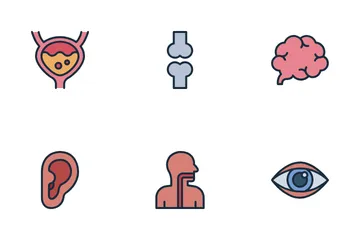 Human Organ Icon Pack