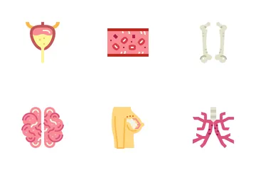 Human Organ Icon Pack