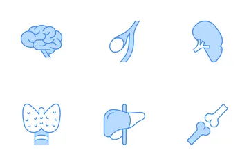 Human Organ Icon Pack