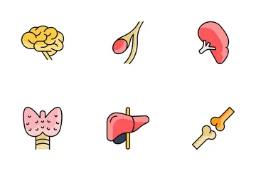 Human Organ Icon Pack