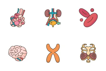 Human Organs 1 Icon Pack