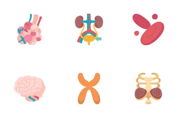 Human Organs 1 Icon Pack