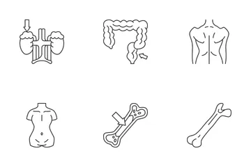 Human Organs 2 Icon Pack