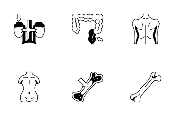 Human Organs 2 Icon Pack