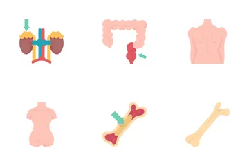 Human Organs 2 Icon Pack